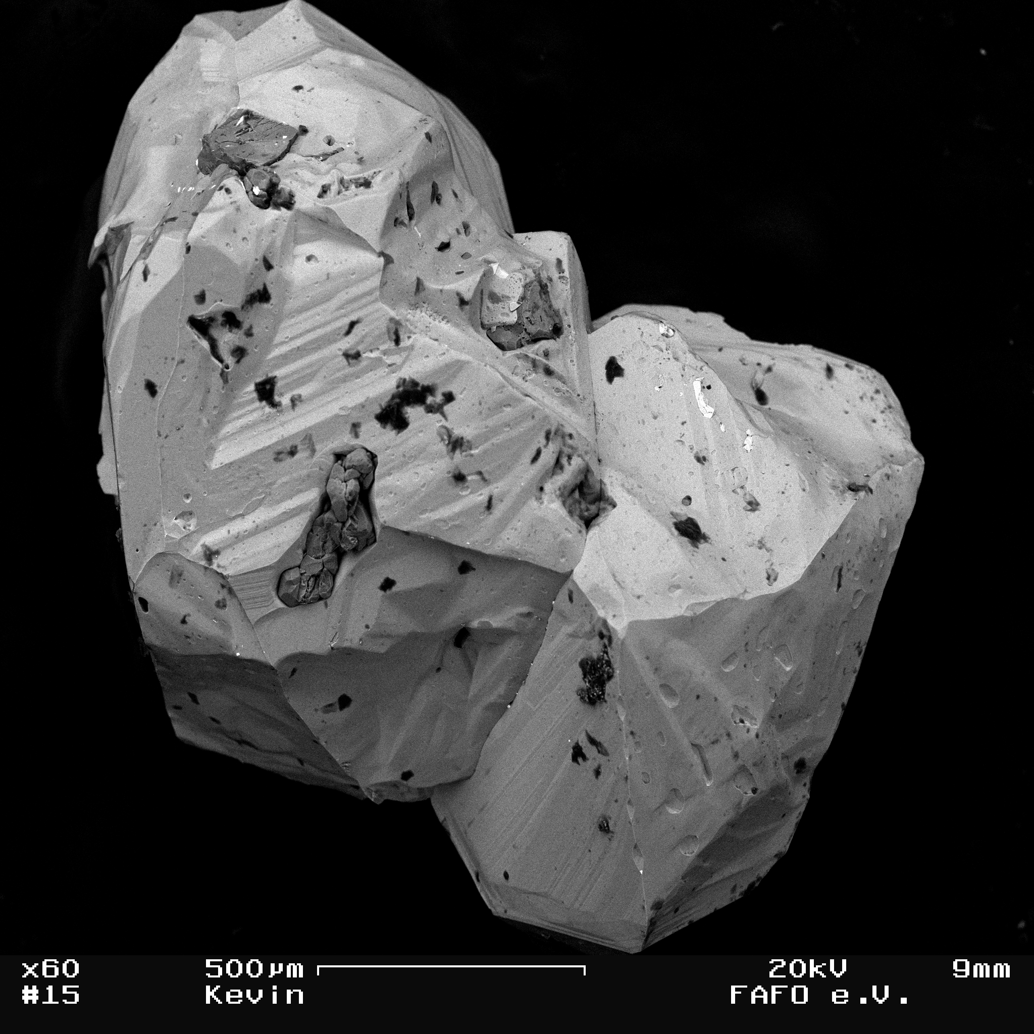 A SEM micrograph. Crystallin struture with two large lobes fused together, with specks of darker/lighter crystals within.