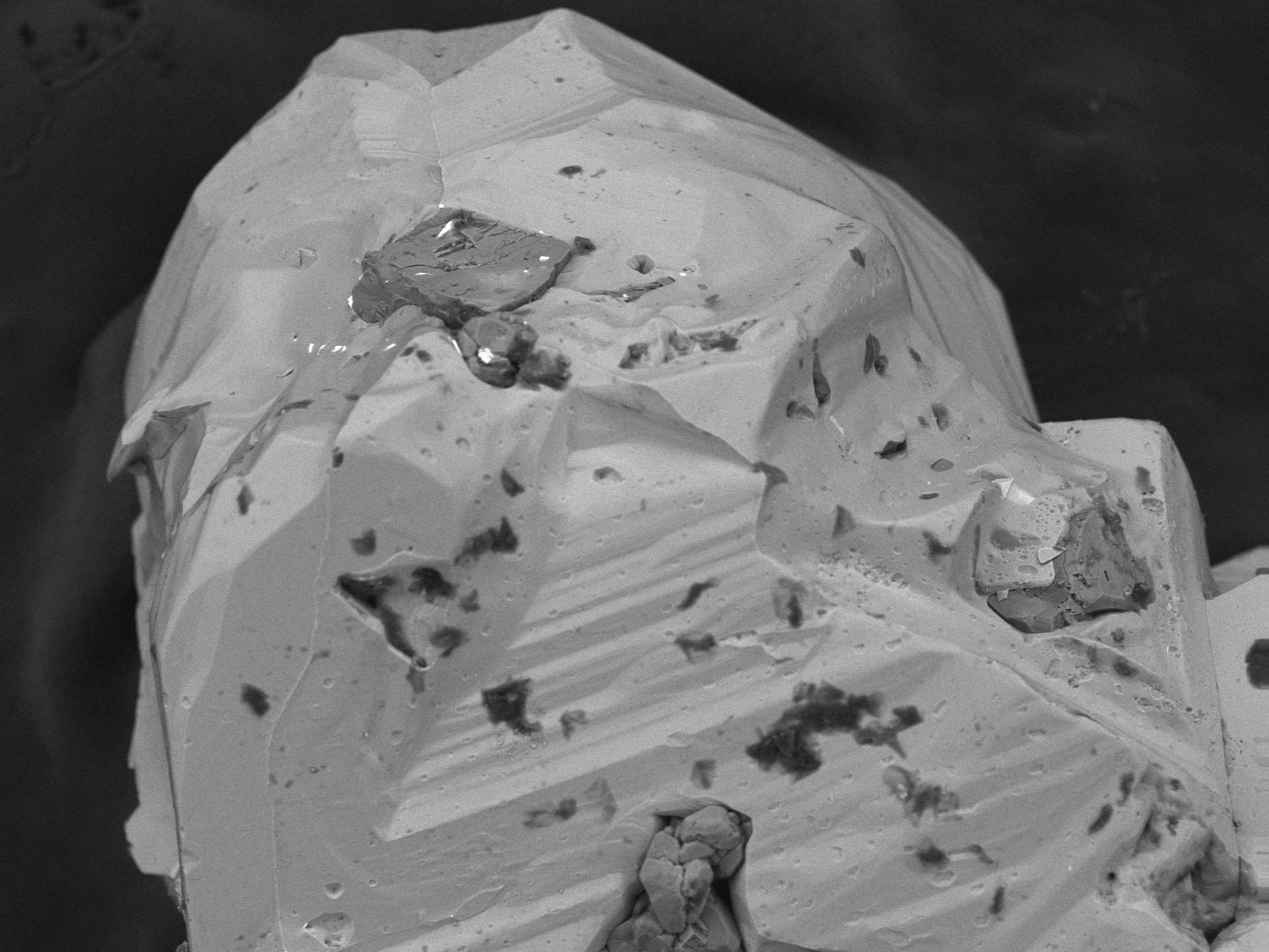 Zoomed in image from above - one love, showing more of the specks of other crystals. One of them is flat and oblique at an angle, looks like a poured concrete foundation.